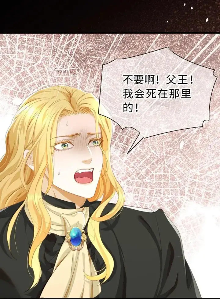 漫画《我重生成为王子殿下的小恶龙》67 私生子第13张图