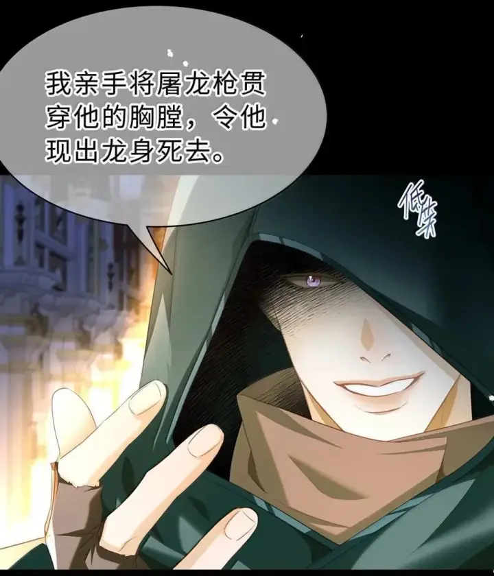 漫画《我重生成为王子殿下的小恶龙》67 私生子第27张图