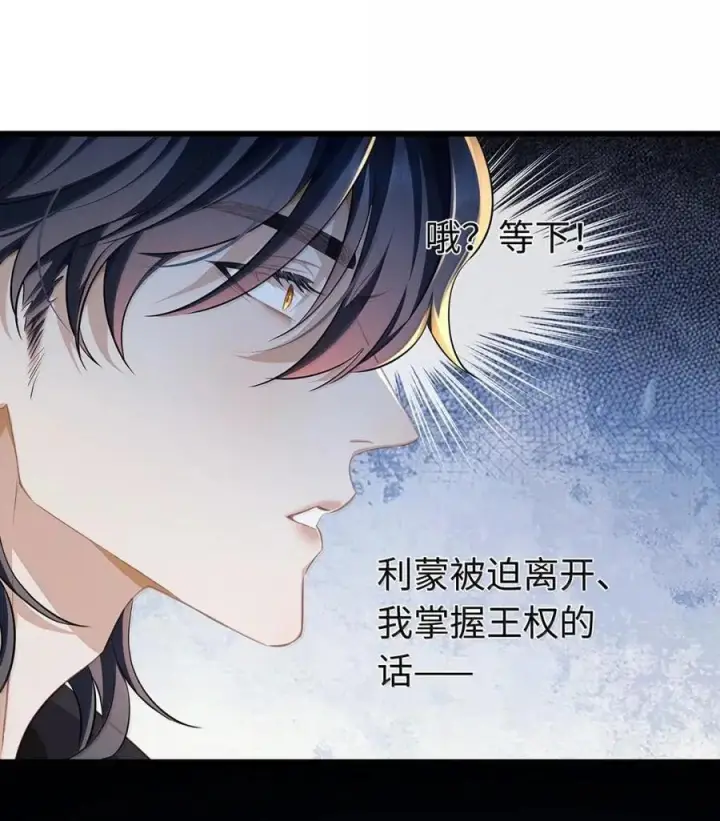 漫画《我重生成为王子殿下的小恶龙》87 黑龙掌握王权第30张图
