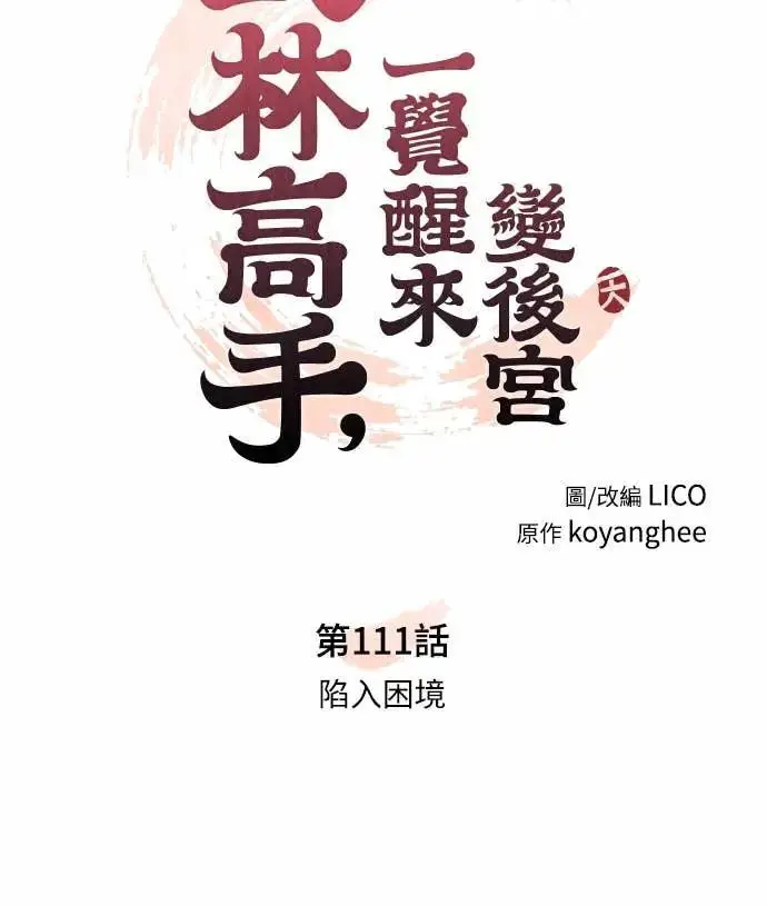 漫画《武林高手转生后宫小主》第111话 陷入困境第13张图