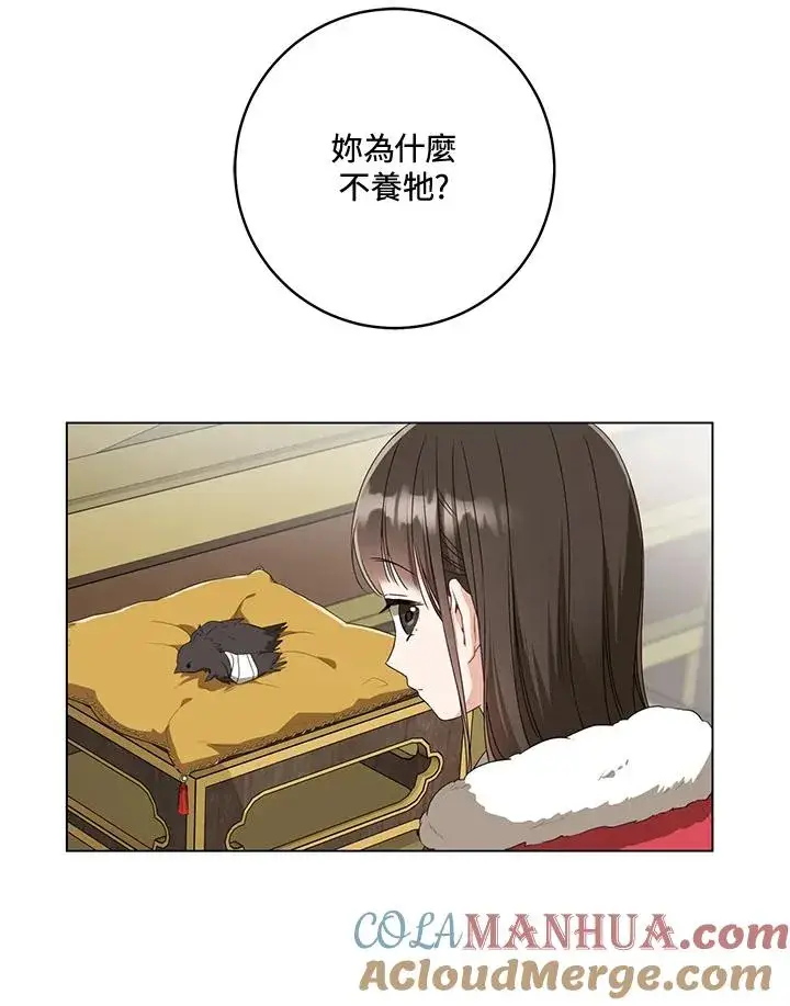 漫画《武林世家的失宠小孙女》第19话第37张图