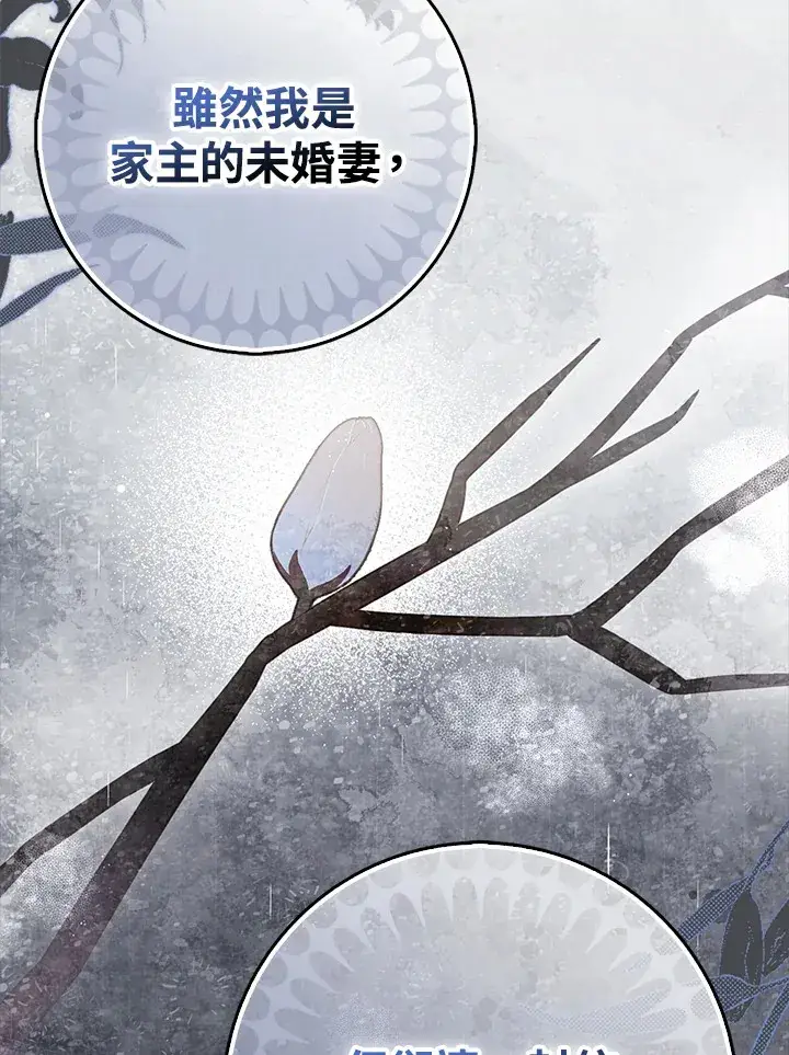 漫画《消失的灰姑娘》第8话第53张图