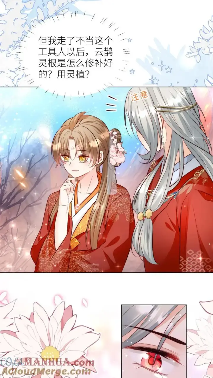 漫画《小师妹明明超强却过分沙雕》第175话 小师妹不说话的时候真好看第19张图