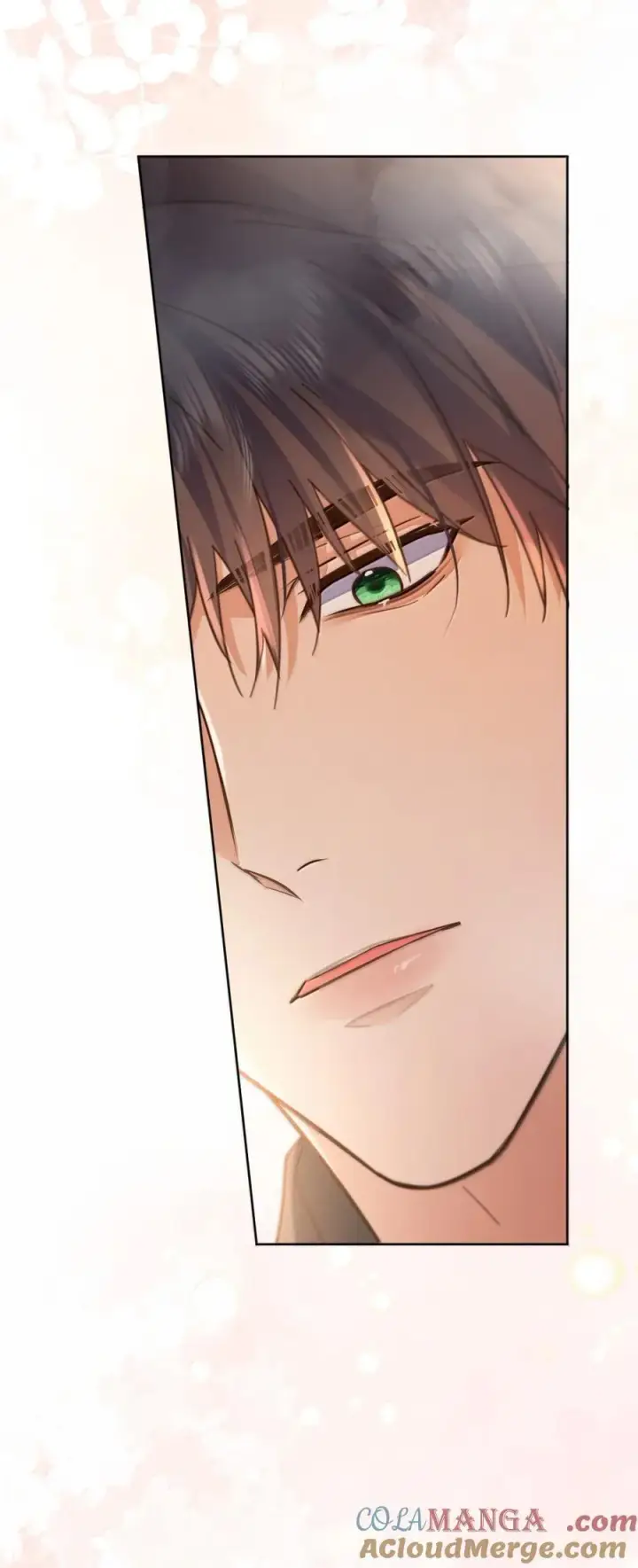 漫画《兄诱弟不恭》第71话 标记我第43张图