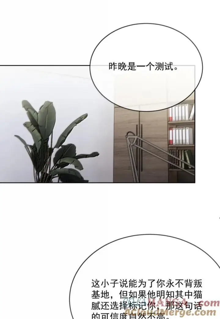 漫画《兄诱弟不恭》第72话 我不能标记你第37张图
