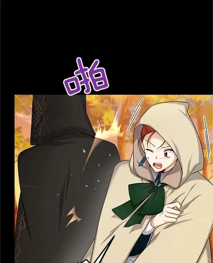 漫画《虚名的公爵之妻》84.争执第86张图