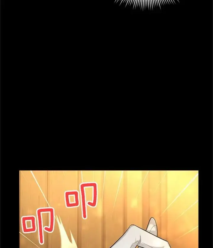 漫画《虚名的公爵之妻》87.初次见面第100张图
