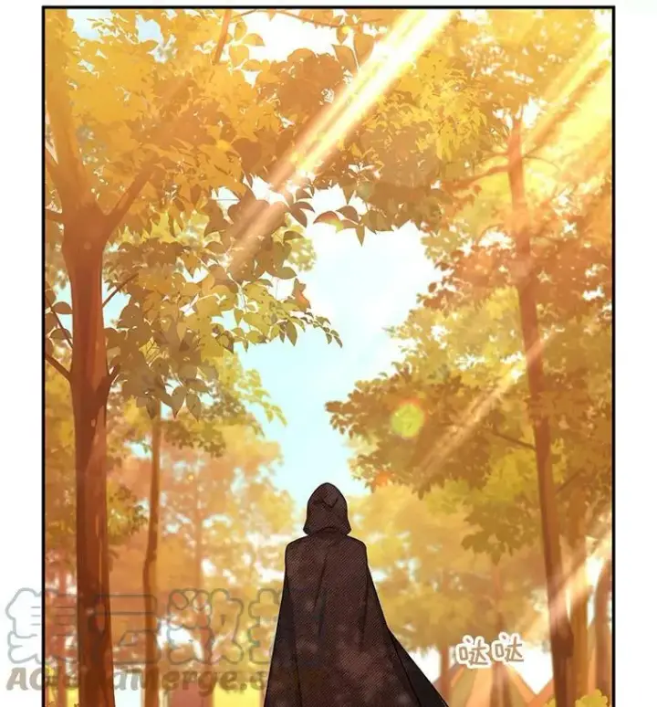漫画《虚名的公爵之妻》87.初次见面第41张图
