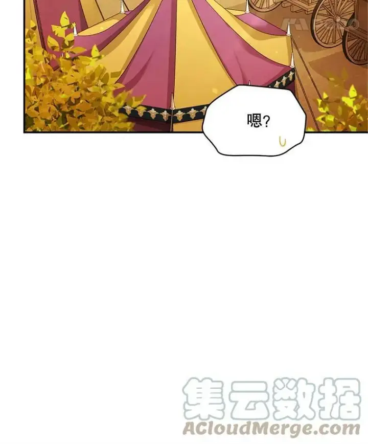 漫画《虚名的公爵之妻》87.初次见面第65张图
