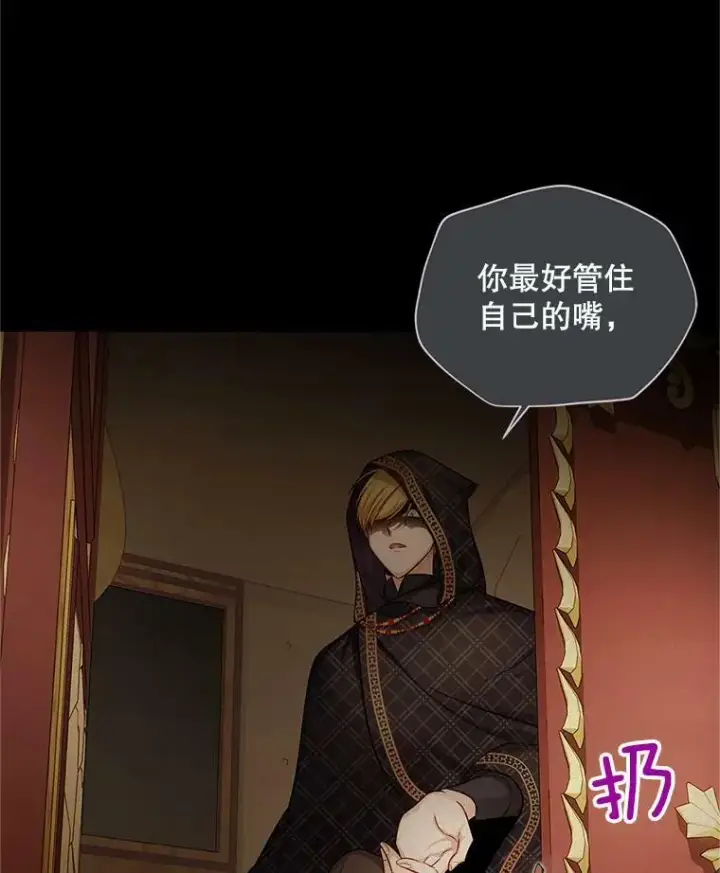漫画《虚名的公爵之妻》89.幕后黑手第96张图
