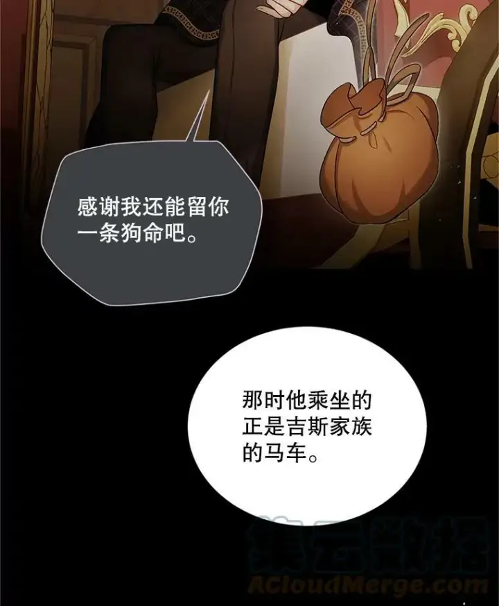 漫画《虚名的公爵之妻》89.幕后黑手第97张图
