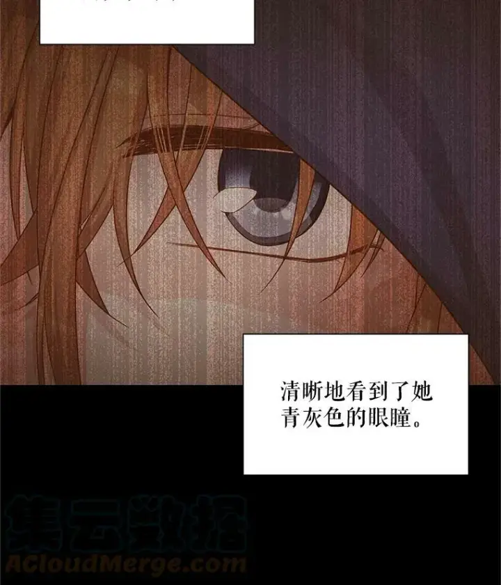 漫画《虚名的公爵之妻》93.梦境第97张图