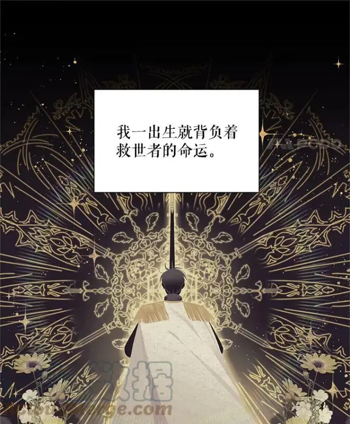 漫画《虚名的公爵之妻》94.黑魔力第65张图