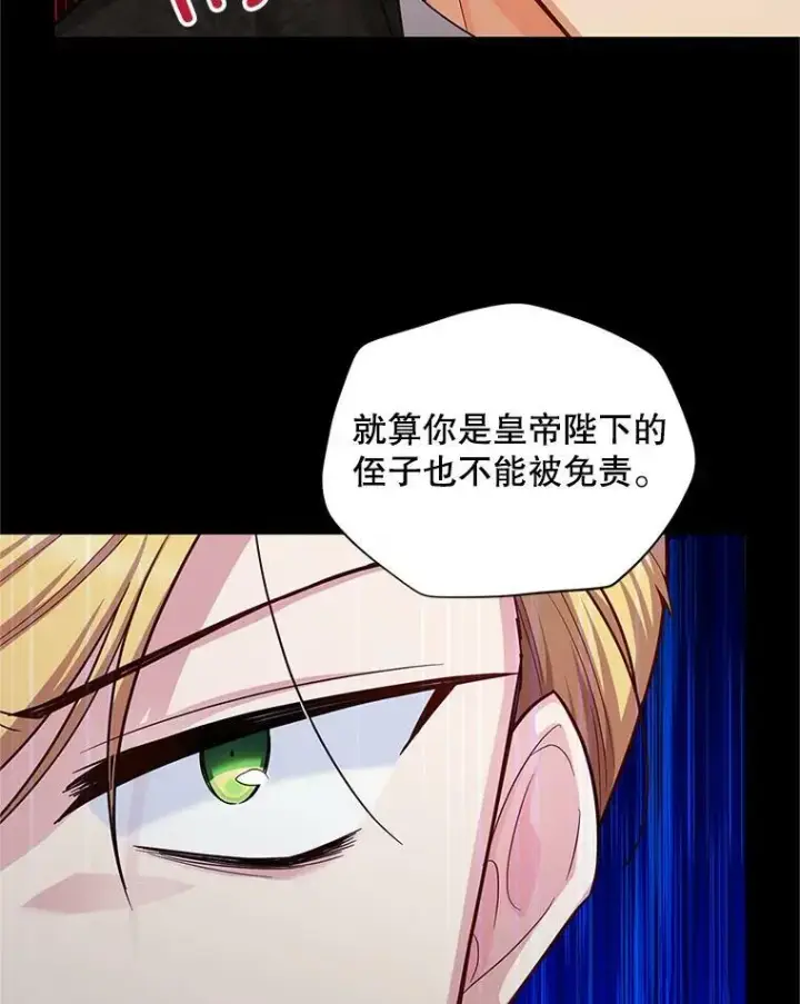 漫画《虚名的公爵之妻》96.黄金召唤师的回归第78张图