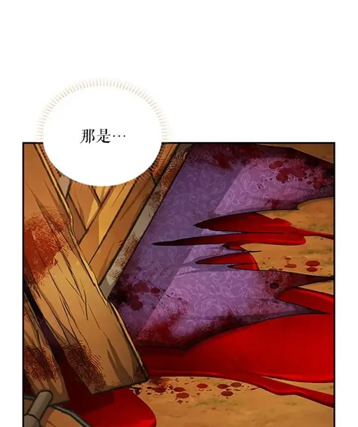 漫画《虚名的公爵之妻》102.遇袭第108张图