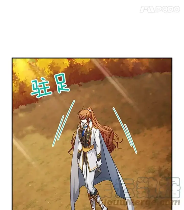 漫画《虚名的公爵之妻》102.遇袭第25张图