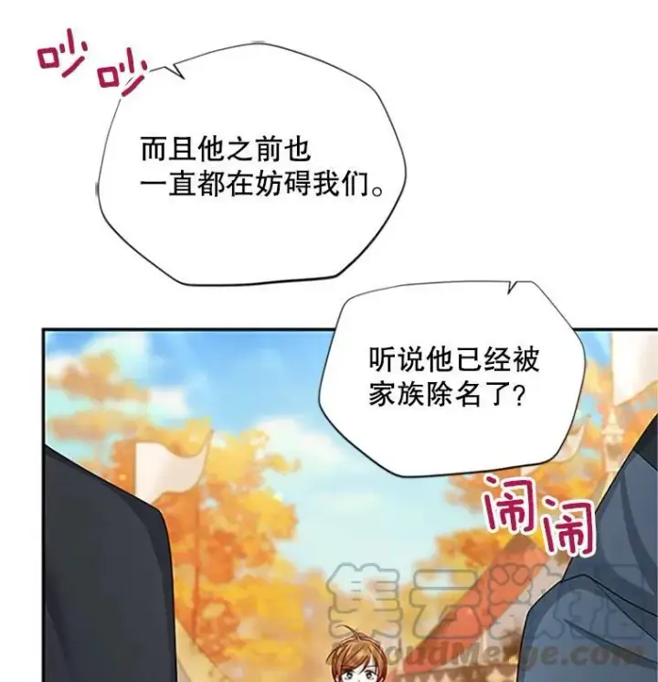 漫画《虚名的公爵之妻》102.遇袭第37张图