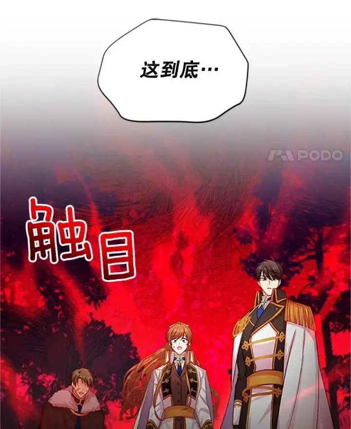 漫画《虚名的公爵之妻》102.遇袭第92张图