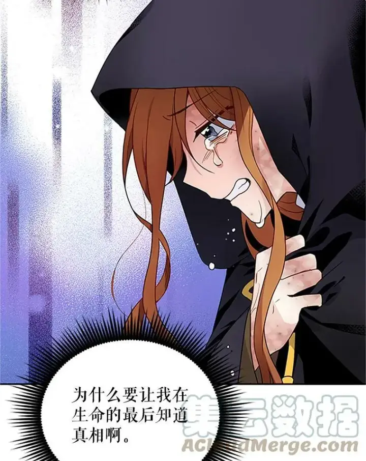 漫画《虚名的公爵之妻》2.惨死重生第31张图