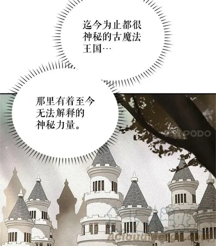 漫画《虚名的公爵之妻》15.关于北方的秘密第70张图