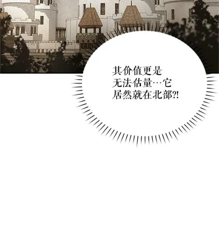 漫画《虚名的公爵之妻》15.关于北方的秘密第71张图