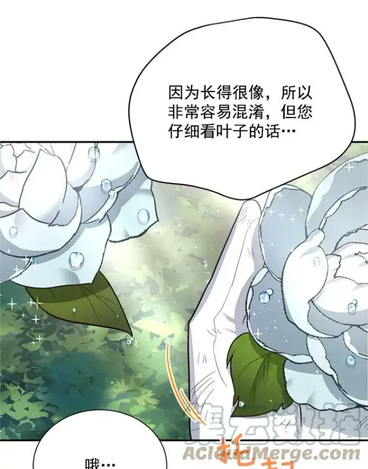漫画《虚名的公爵之妻》26.优秀的女主人第69张图