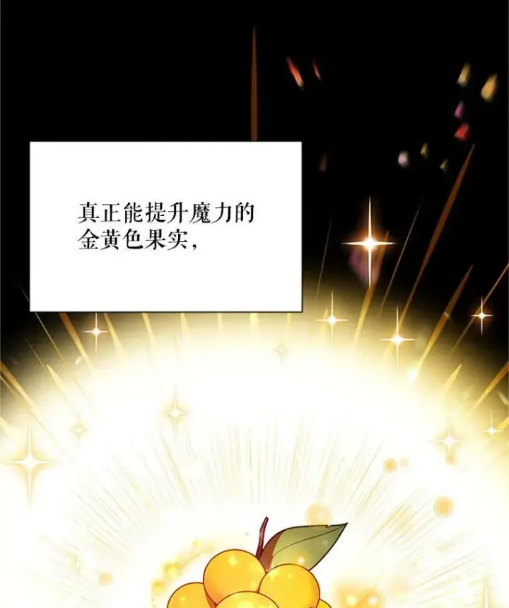 漫画《虚名的公爵之妻》27.绮丽丹果实第80张图