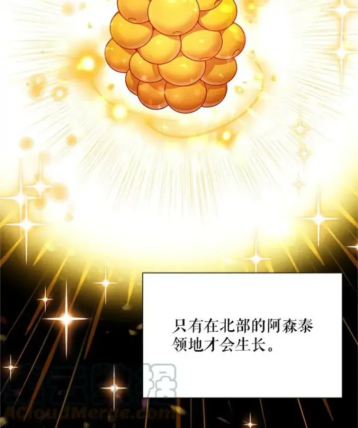漫画《虚名的公爵之妻》27.绮丽丹果实第81张图