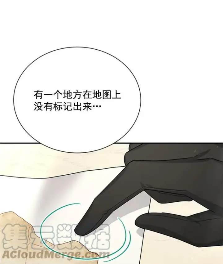 漫画《虚名的公爵之妻》28.遭遇危险第29张图