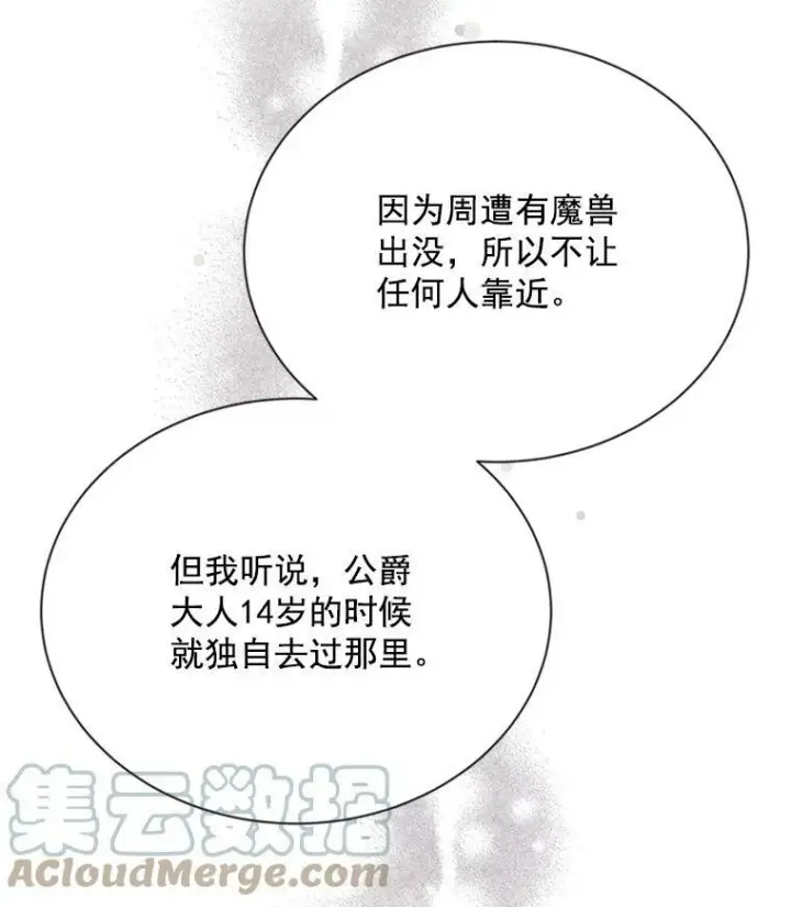 漫画《虚名的公爵之妻》28.遭遇危险第33张图