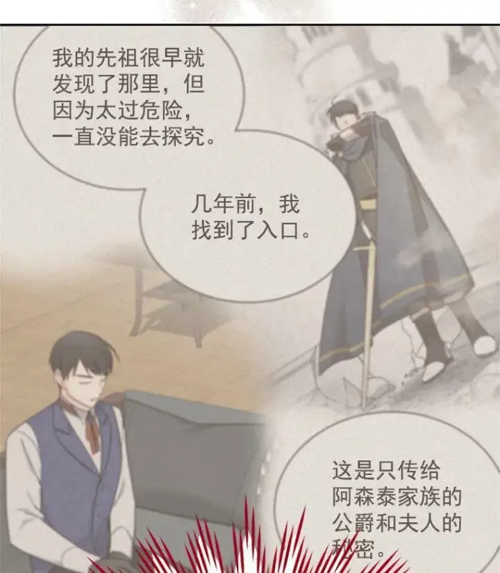 漫画《虚名的公爵之妻》28.遭遇危险第35张图