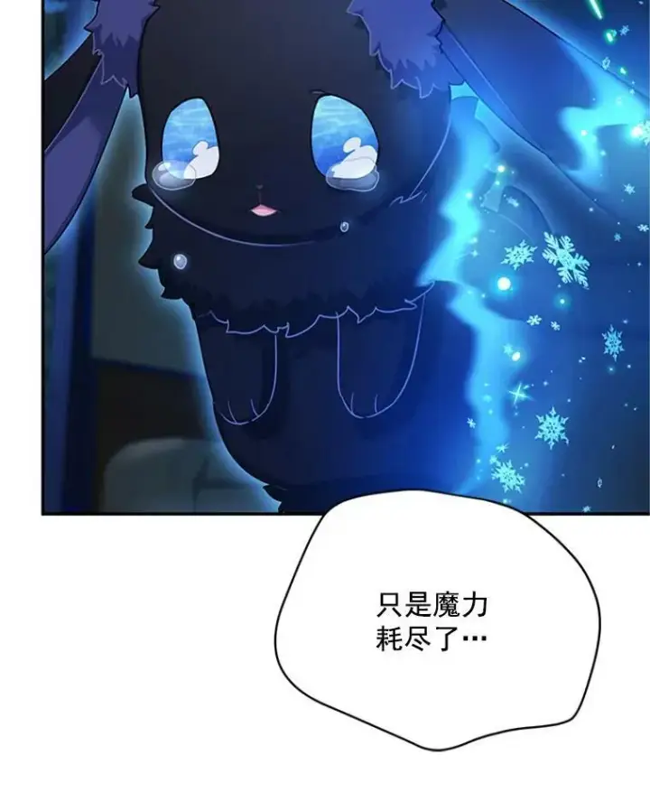 漫画《虚名的公爵之妻》29.耗尽魔力第99张图
