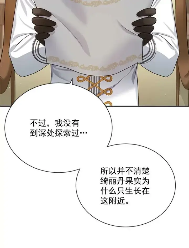 漫画《虚名的公爵之妻》31.圣骑士巴德兰第103张图