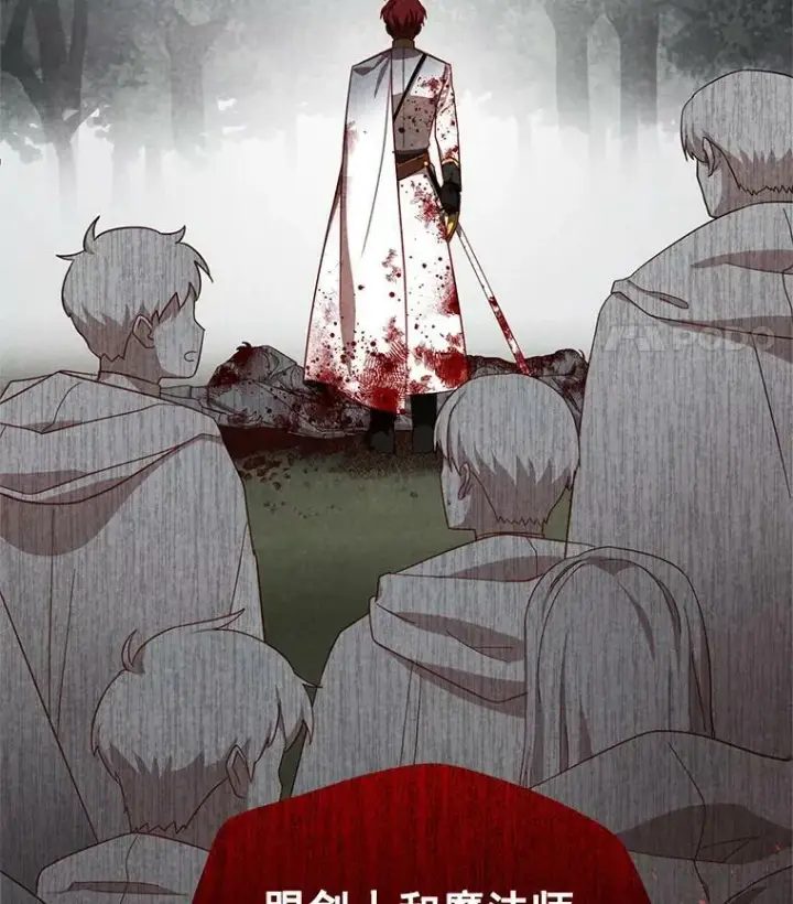 漫画《虚名的公爵之妻》32.对召唤师的偏见第12张图