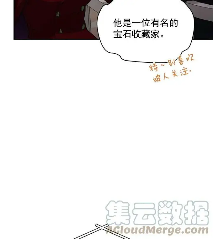 漫画《虚名的公爵之妻》34.参与拍卖第33张图