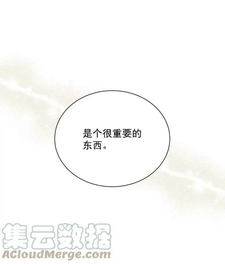 漫画《虚名的公爵之妻》35.妈妈的胸针第13张图