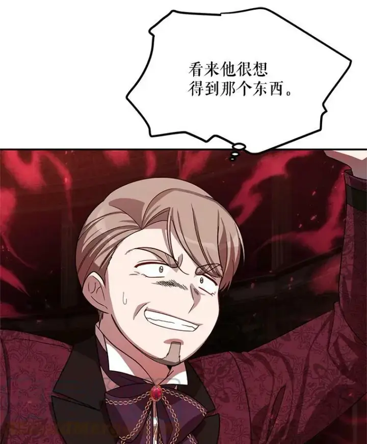 漫画《虚名的公爵之妻》35.妈妈的胸针第25张图
