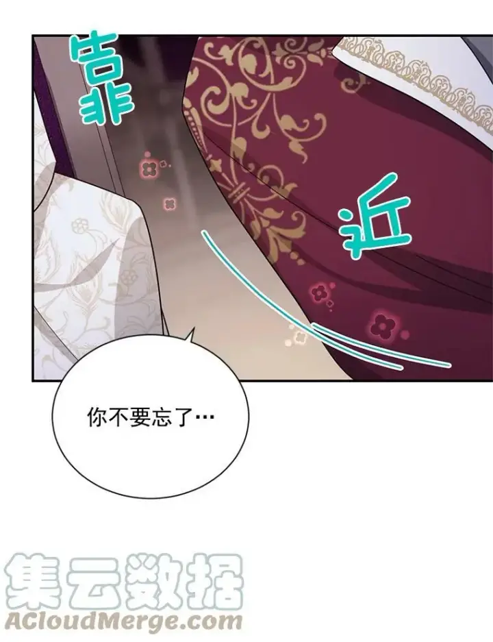 漫画《虚名的公爵之妻》35.妈妈的胸针第41张图