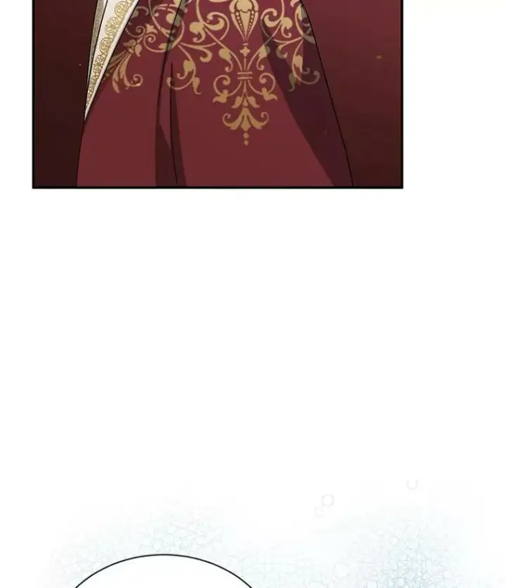 漫画《虚名的公爵之妻》35.妈妈的胸针第55张图