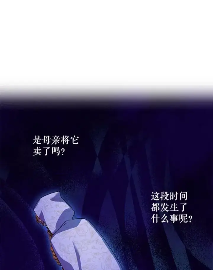 漫画《虚名的公爵之妻》35.妈妈的胸针第6张图