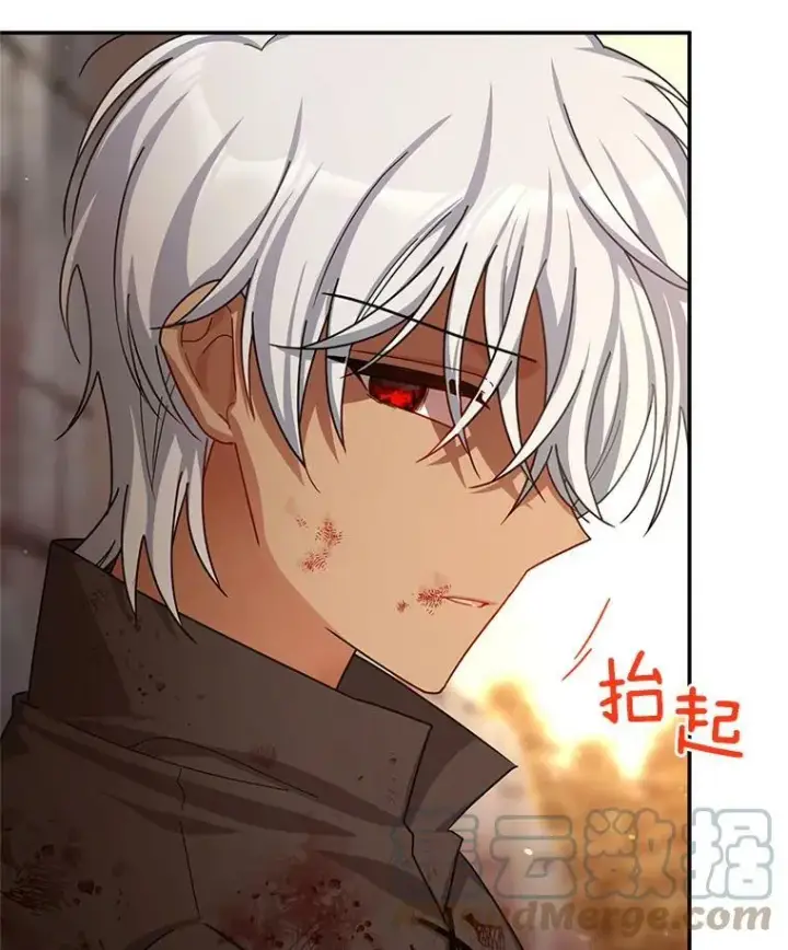 漫画《虚名的公爵之妻》37.报恩第13张图