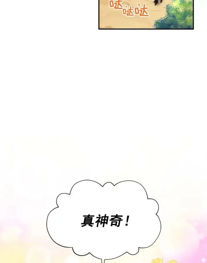 漫画《虚名的公爵之妻》46.召唤神兽之王第18张图