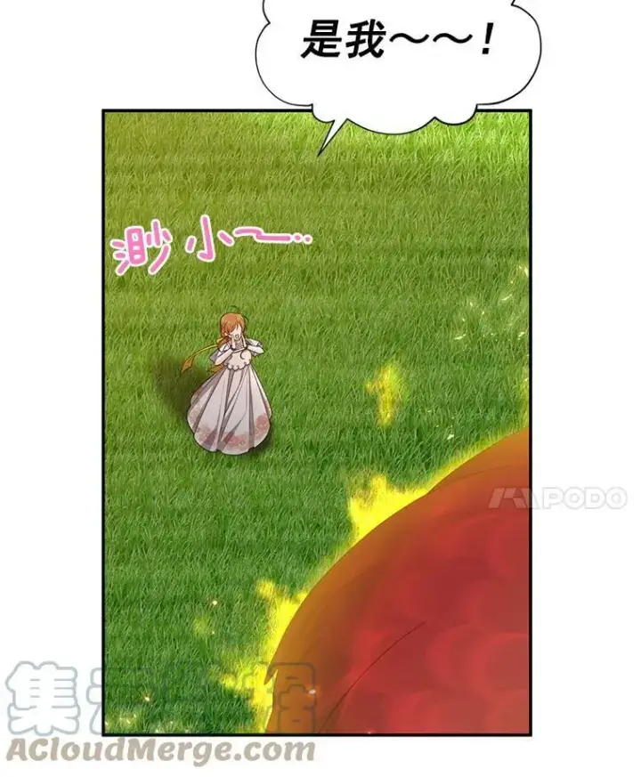 漫画《虚名的公爵之妻》46.召唤神兽之王第57张图