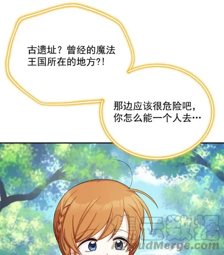 漫画《虚名的公爵之妻》47.公主来信第52张图