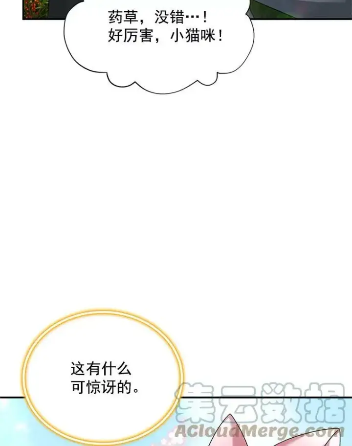 漫画《虚名的公爵之妻》51.治疗剂第45张图