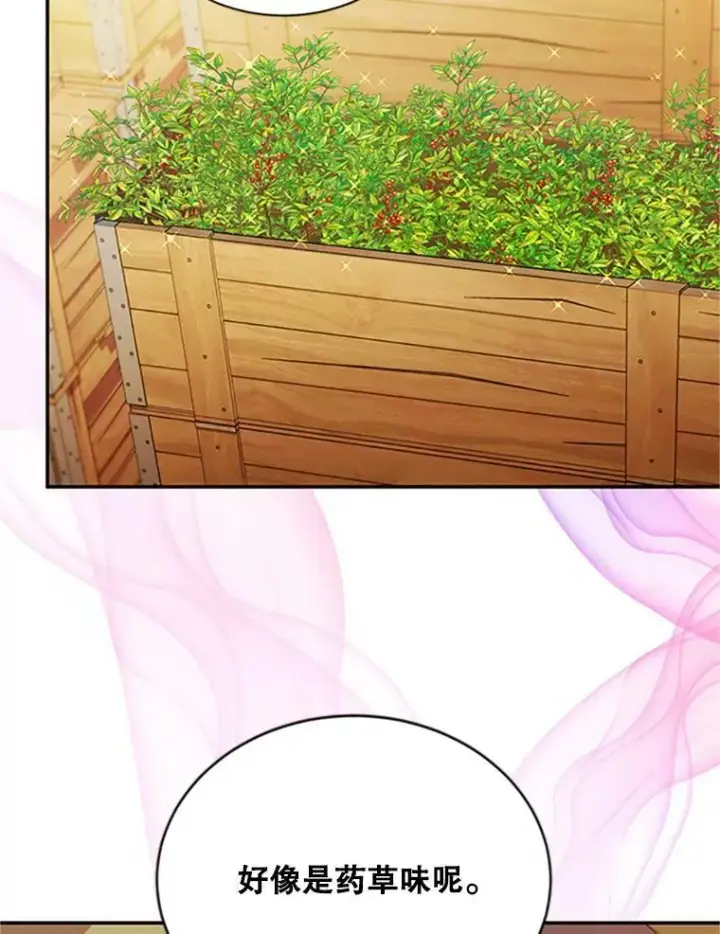 漫画《虚名的公爵之妻》63.破罐子破摔第71张图