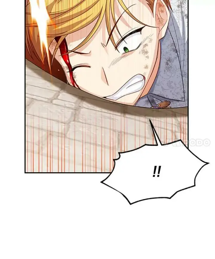 漫画《虚名的公爵之妻》65.大打出手第19张图