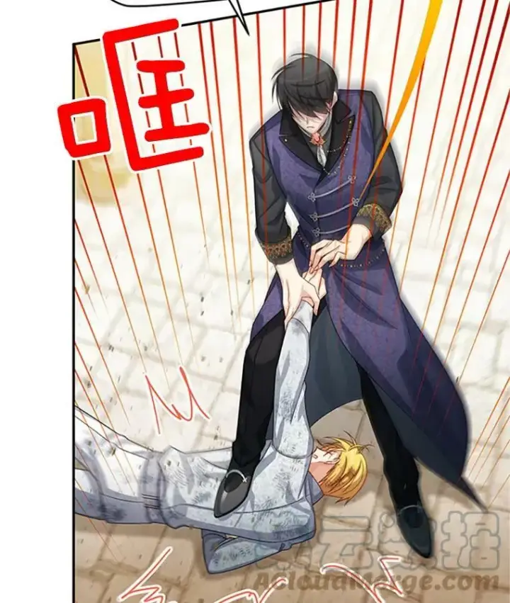 漫画《虚名的公爵之妻》65.大打出手第45张图