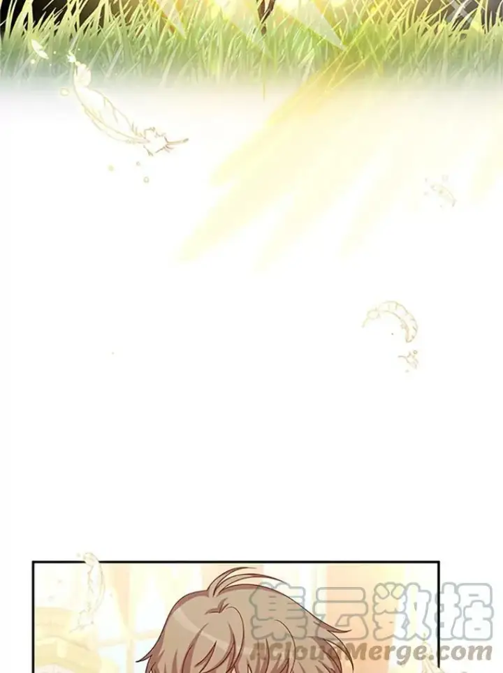 漫画《虚名的公爵之妻》66.问罪第49张图