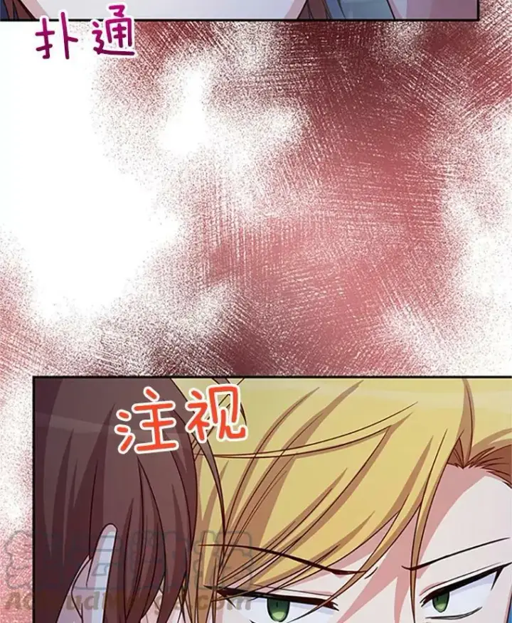 漫画《虚名的公爵之妻》71.学习骑马第9张图